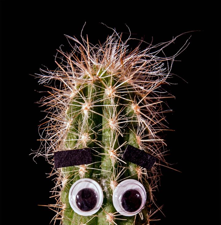 heather-ralph-blood-bone-main-show-image