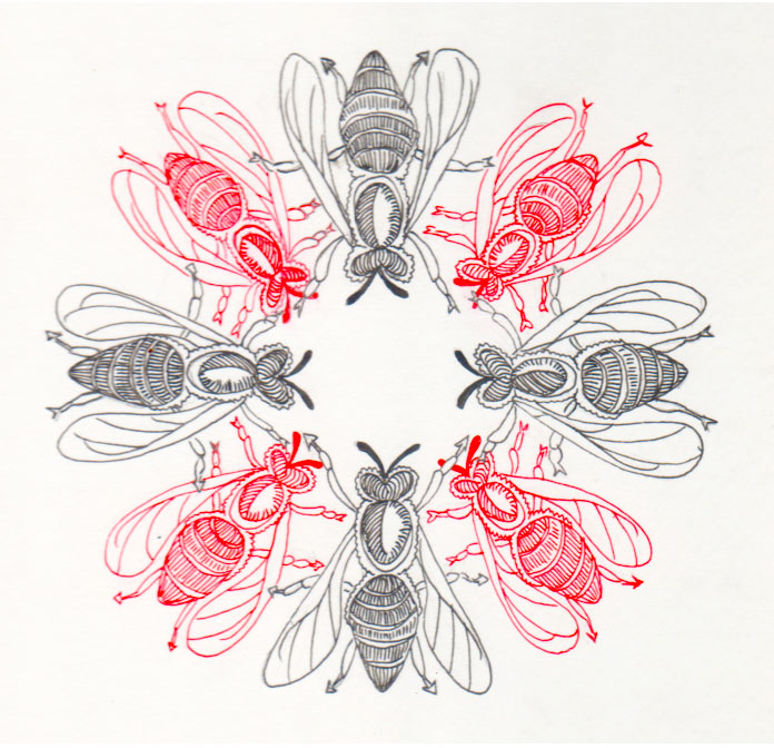 heloise-tunstall-behrens-the-swarm-logo
