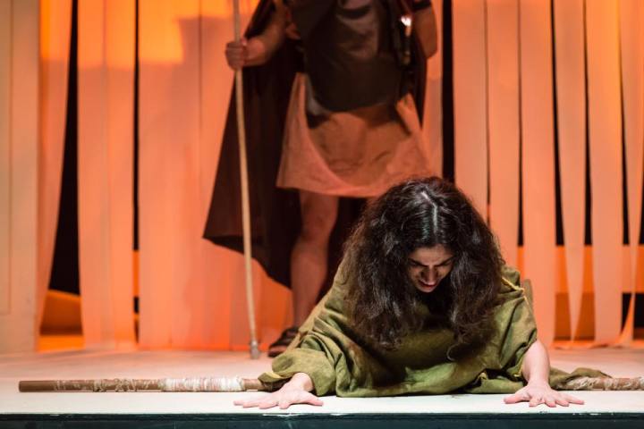 17342817_1302908383095719_3992958873610930930_n