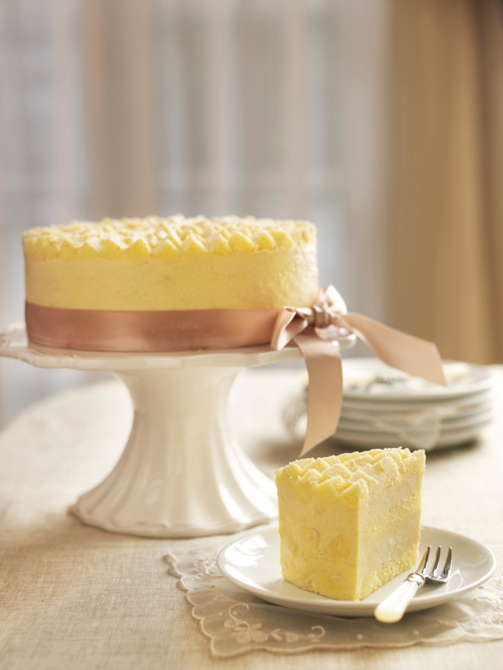 Goodwood Park Hotel D24 Durian Mousse Cake