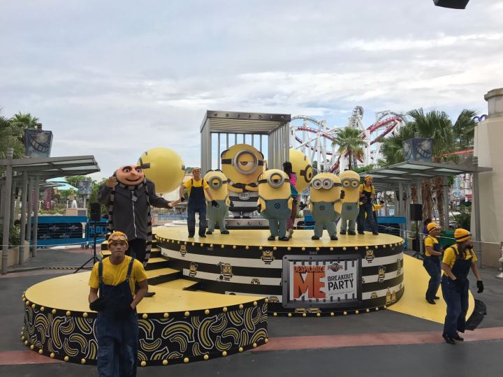 WhatsApp Image 2017-08-08 at 20.26.29