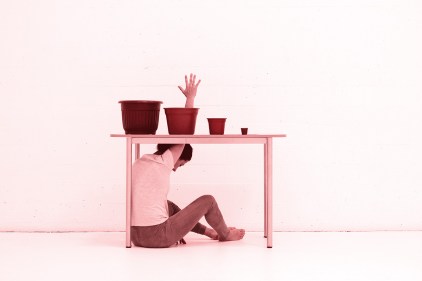 Aparato-radical-©Maida-carvallo