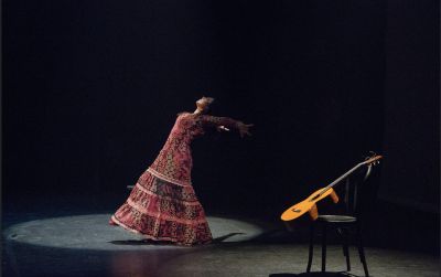 Flamenco 2