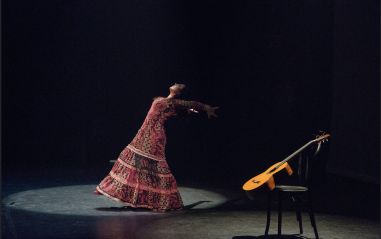 Flamenco 2