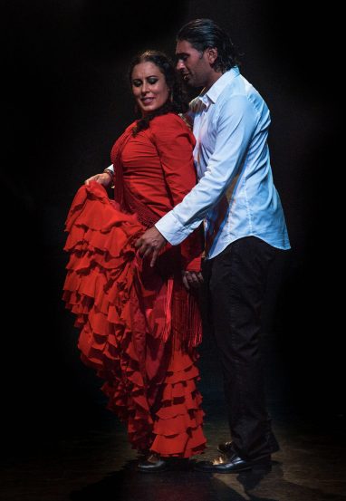 Flamenco 3