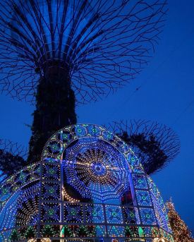 WhatsApp Image 2017-12-07 at 19.53.06