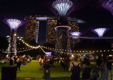 WhatsApp Image 2017-12-07 at 19.53.07 (2)