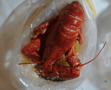 Screen Shot 2018-08-05 at 12.33.50 AM