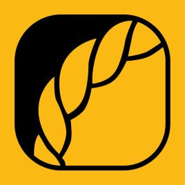 17883940_1638237319538910_2628610241908307255_n