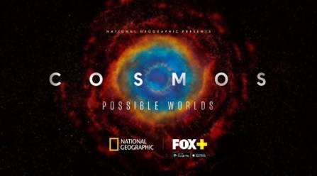 cosmos