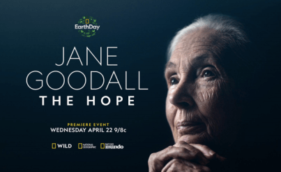 Screenshot 2020-04-16 at 8.52.50 PM