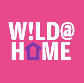 Screenshot 2020-04-21 at 4.49.56 PM