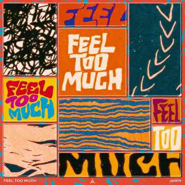 Feel Too Much - Single Artwork (low res)
