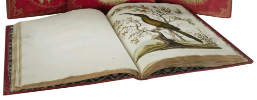 Screenshot 2020-11-24 at 7.21.19 PM